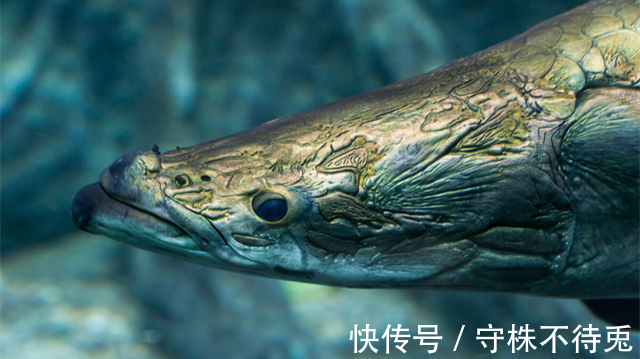 22个冷知识：真实存在着，但容易产生质疑的冷门知识