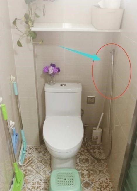 三分离|家中只有一个厕所,她坚持做“三分离”!完工后太实用了,晒晒!