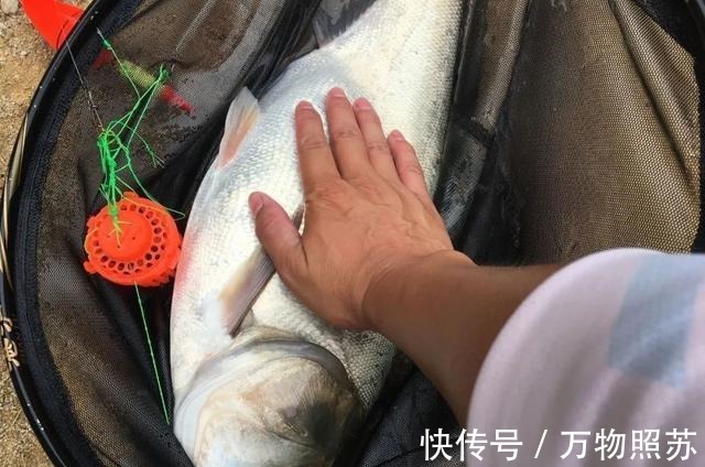 垂钓最爽的5个时刻,正常人难以理解,钓鱼人直呼过瘾