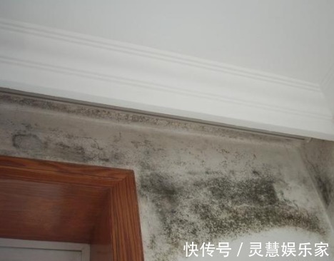 污渍|白墙好看容易脏教你清理白墙的4个小妙招，轻松去除白墙污渍