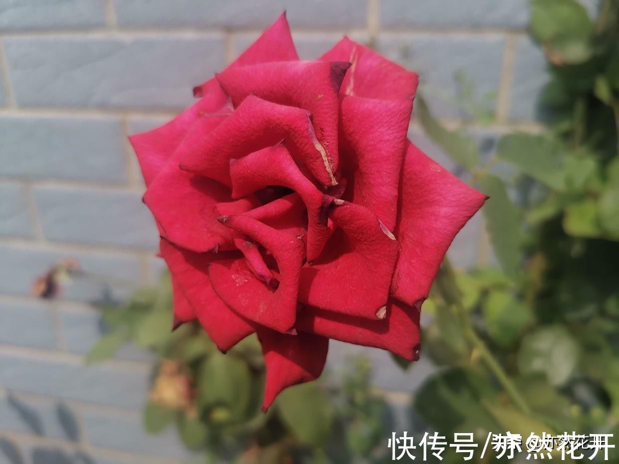 写作#故事写作:学会36种模式,写出精彩故事