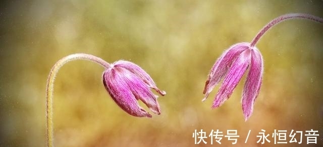 钞票|8月中旬，钞票溢满口袋，富贵难挡，大笔横财进门