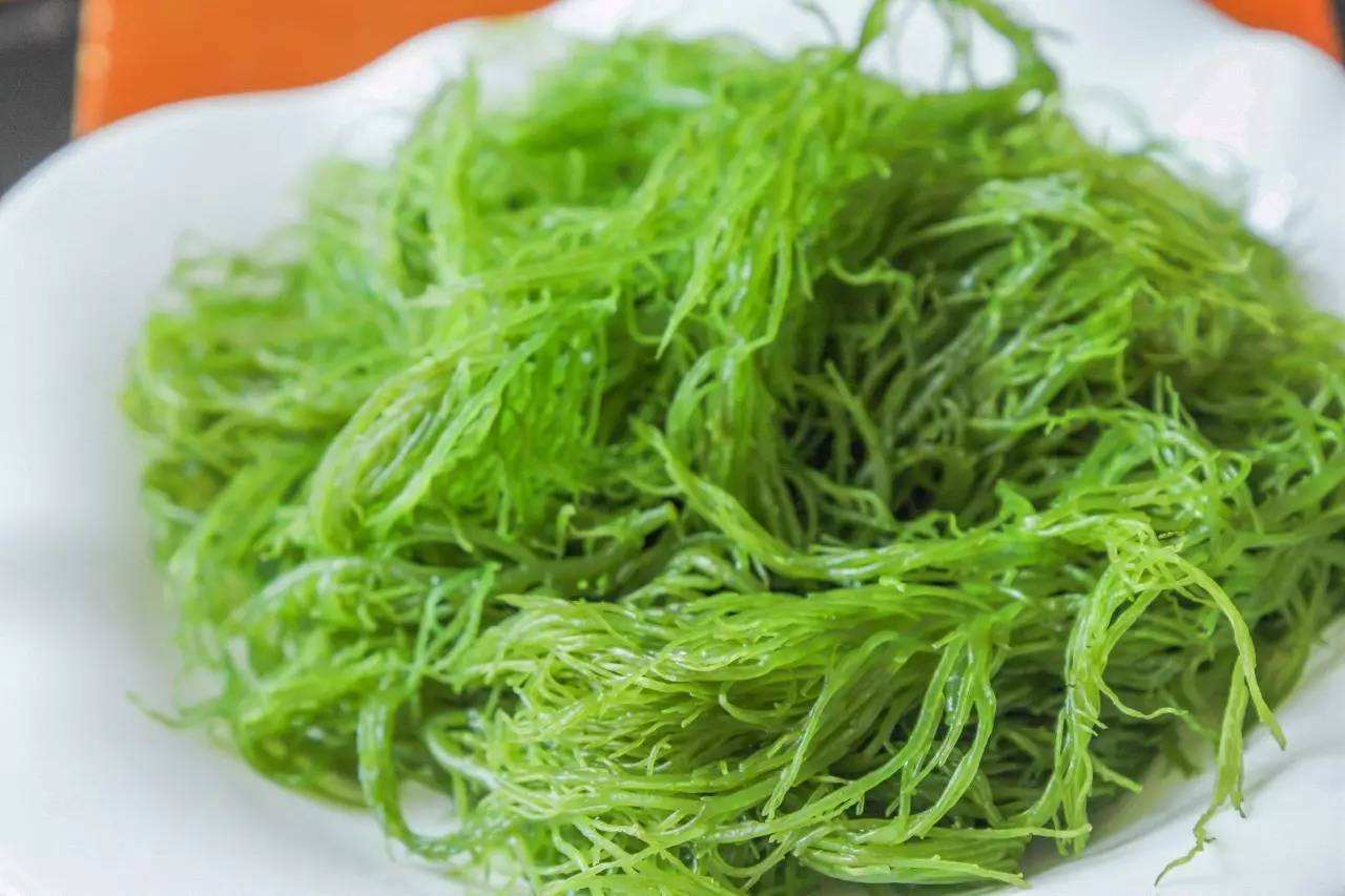 价值|这野菜长得像“龙须”,假如你见到,可别轻视或除掉,价值很高