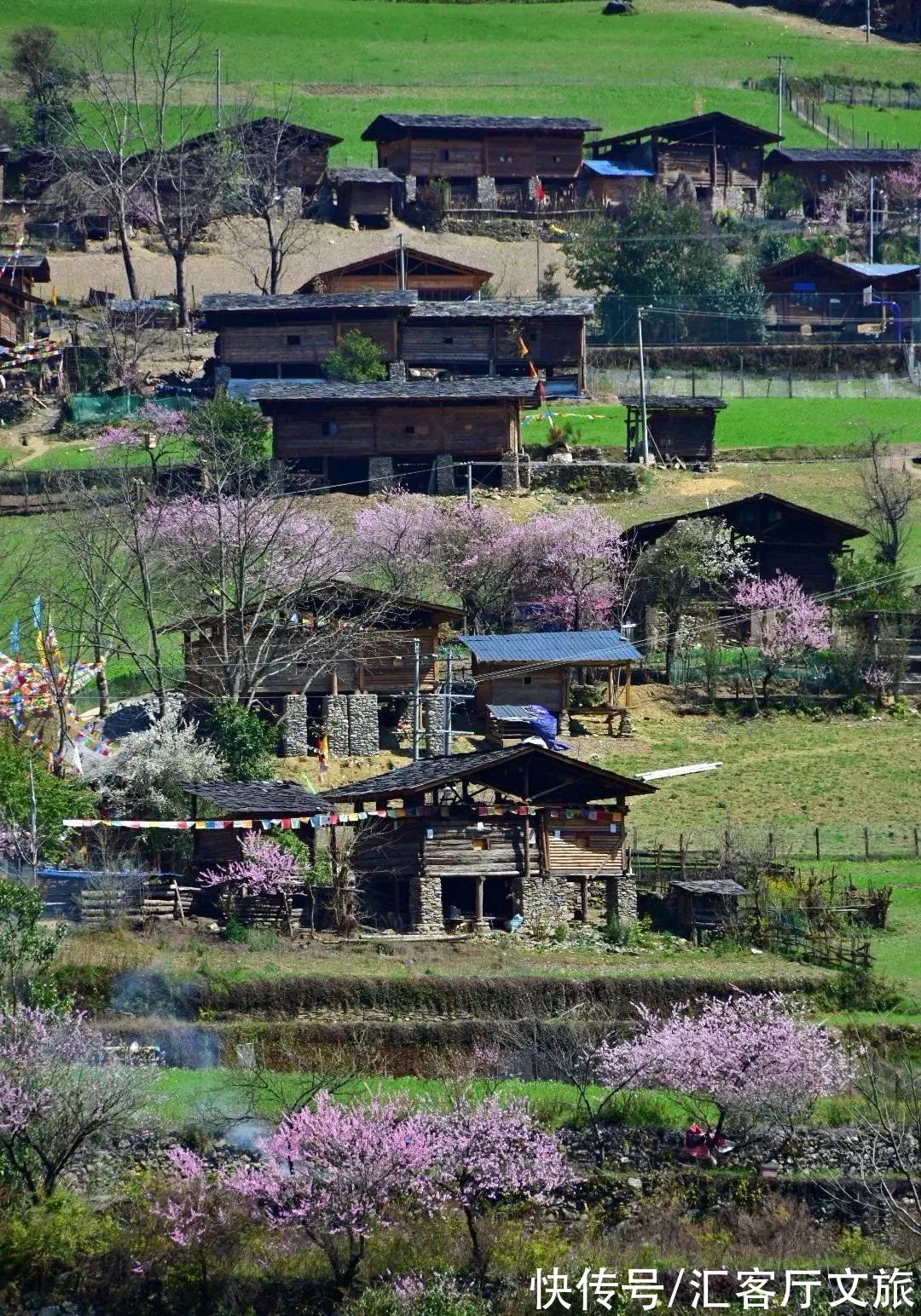 丙察察|桃花盛开，江水如蓝，每年春季丙察察迎来一年中最美的时光