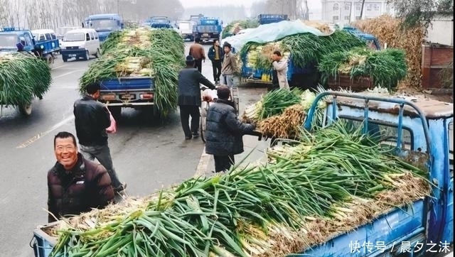 目瞪口呆|入冬了,听说东北人开始论车买菜了,南方人看得目瞪口呆