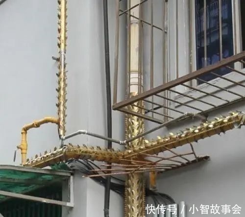 阳台|阳台不要装防盗网了，头次见有钱人用这种代替，实在太聪明了