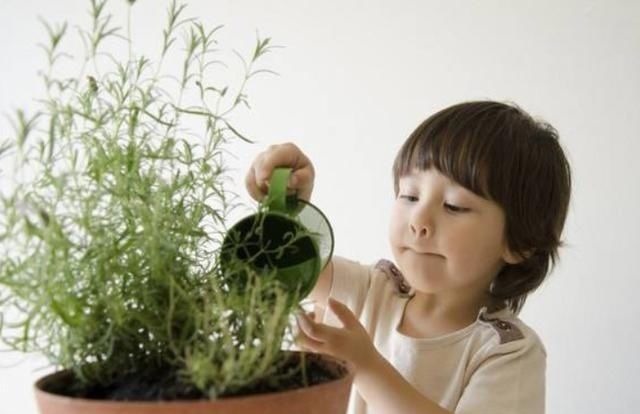 小便宜|长大后“没出息”的孩子,基本都有3个明显特征,希望你家娃没中