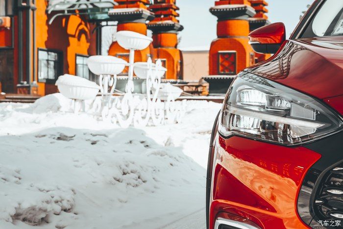 魅力雪境-与福克斯一起探索呼伦贝尔的冬天