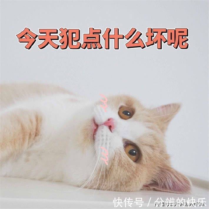 |内涵段子:我下班刚到家,看到媳妇正在梳妆打扮,看上去很是迷人!