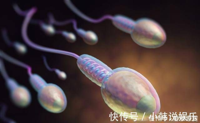 女性|受精卵着床的那一刻,女性通常会有这5种变化,备孕的你不妨一看