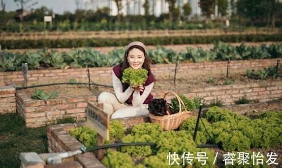 联合国|央视主持刘芳菲坐镇联合国交流论坛,穿衬衫太朴素,新发型变化大