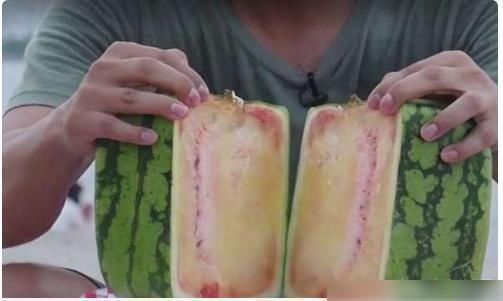 土豪|日本的“天价西瓜”,中国土豪花几万元买了一个,切开后却懵了