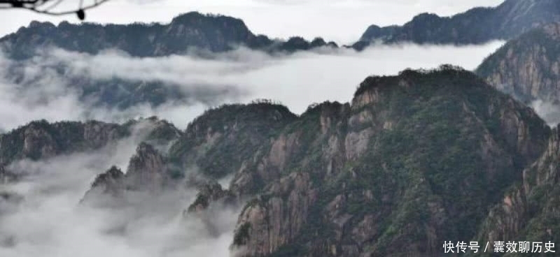 王维|王维这首诗写得生动有趣,把日常生活中的细节,描写得活灵活现!