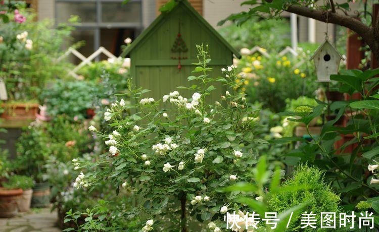 小院|荒废多年的80㎡小院，2年半时间打造成下沉式花园，太漂亮了！