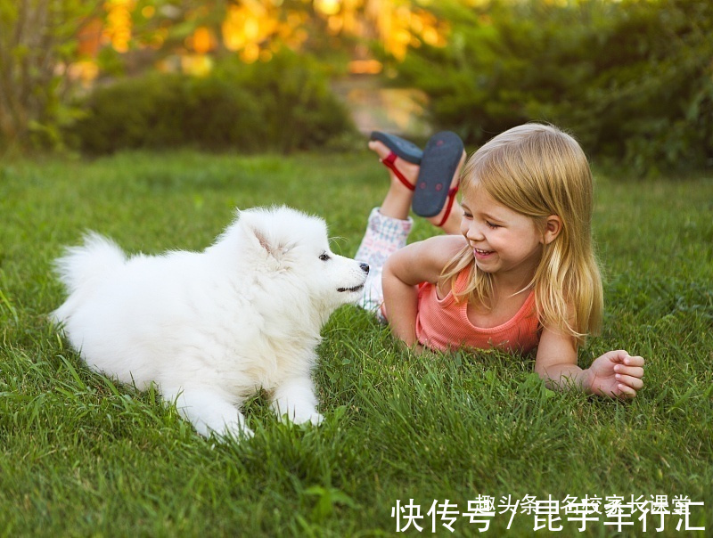 李月亮|有3件事,父母是一定要教会孩子的,无论什么时候都很重要!