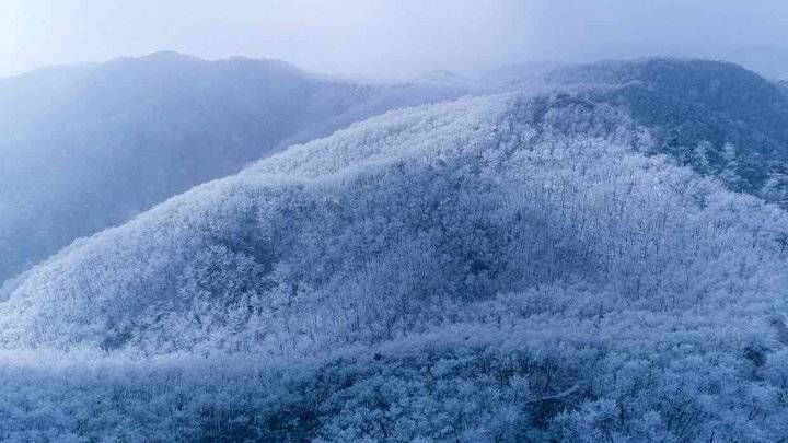 雾凇|雾凇来袭，九如山冰雕玉琢