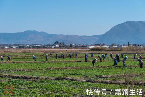 大理|中国白族风情第一镇喜洲古镇，建筑像宏村，偶遇白族好人令人感动