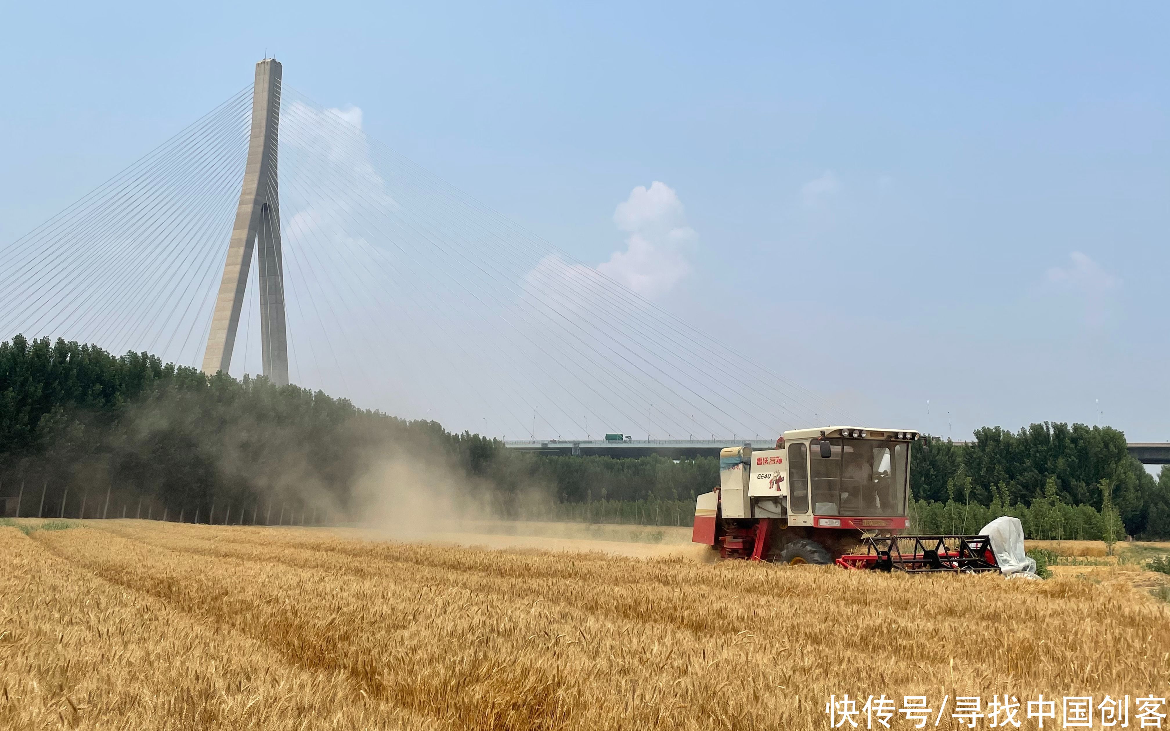 麦田|黄河边上的收麦人家 为晒麦子夜宿麦田