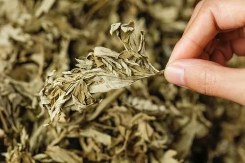 小肚腩|三伏天的“祛湿王”，每天坚持吃一吃，排出湿毒，小肚腩也不见了！