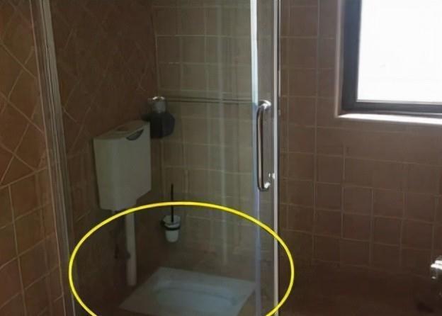 便器|头一次见有钱人将蹲便器装淋浴房里,太聪明了,真懊悔现在才知道