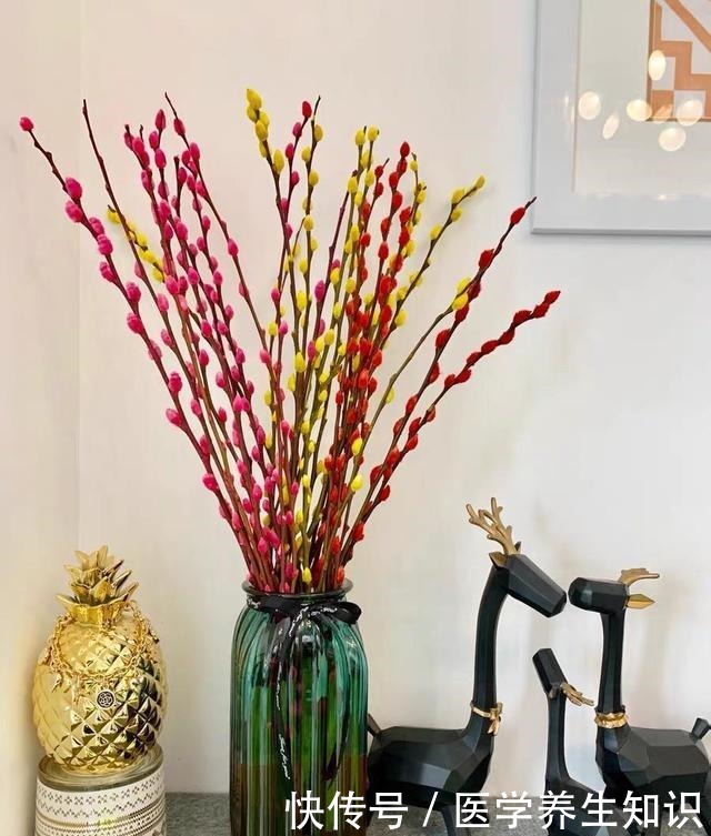 两种“花枝”很漂亮,花友很喜欢,一个水瓶就能养,花香四溢的!