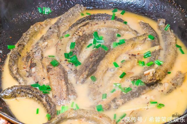 小厨|最好吃的野生鱼,15块钱一斤,物美价廉,肉多刺少,老少皆宜