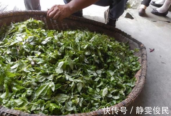 安神助眠|重度失眠的人,每天常用此物泡水喝,可安神助眠,提高睡眠质量