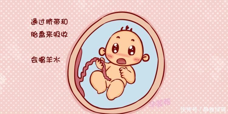 怀孕后羊水是怎么来的？了解了它的构成，孕妈别嫌弃