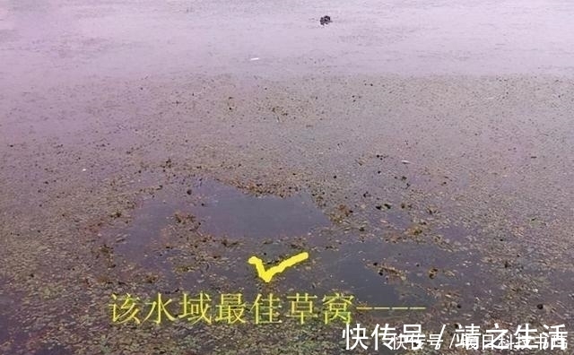 钓位|这里的五个地方堪称“黄金宝座”，夏季钓鱼不能错过