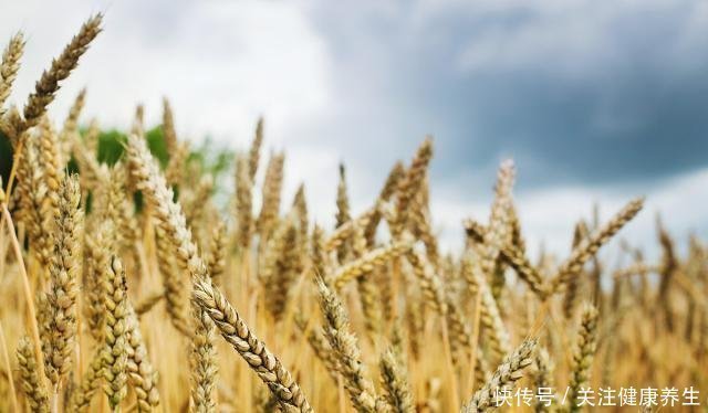 食用|天然“低嘌呤”食材就在身边，每天吃上一口，尿酸不高，也更稳定