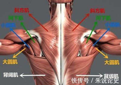 大腿|少女的背部和大妈有什么不同?分享4式瑜伽,练出薄如蝉翼的美背