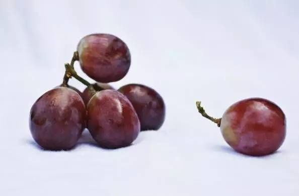 不能进微波炉的13样东西,赶紧看!