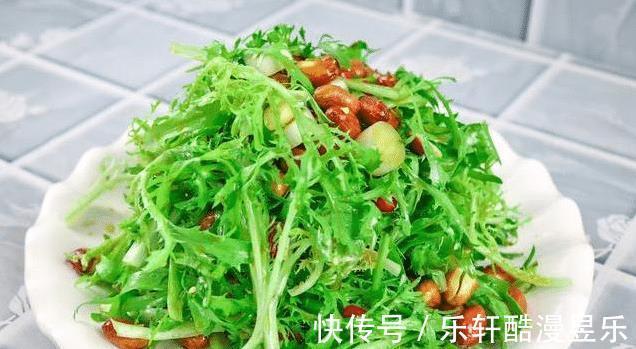 胃口|三伏天没胃口，分享4道凉拌菜，清爽开胃，应季而食，顺利过苦夏