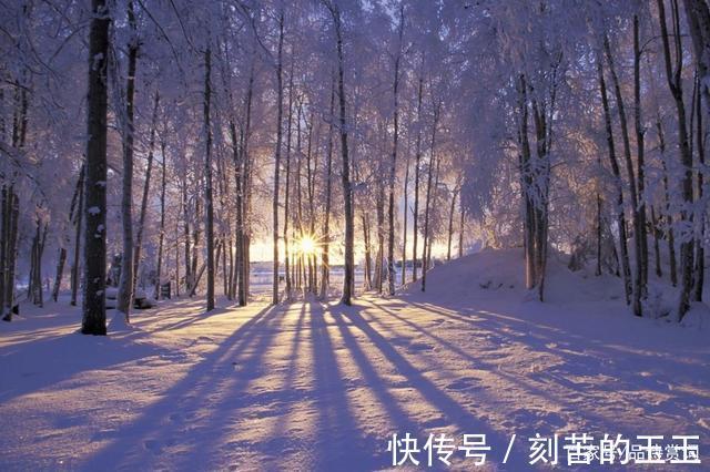 皂角林#杨万里冬日抒怀,吟诵了一首七绝,含蓄蕴藉,却打动人心