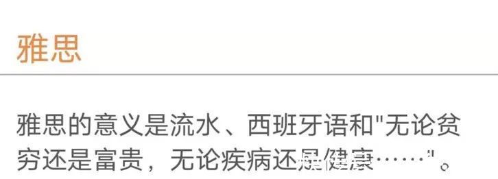 你的意义是什么