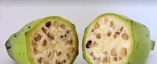 水蜜桃|水果的原始形态,面对这样的西瓜,夏天你还会想喝西瓜汁吗