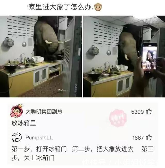 |搞笑合集:这是我的两位表弟,为人圆滑方正,希望能找个对象