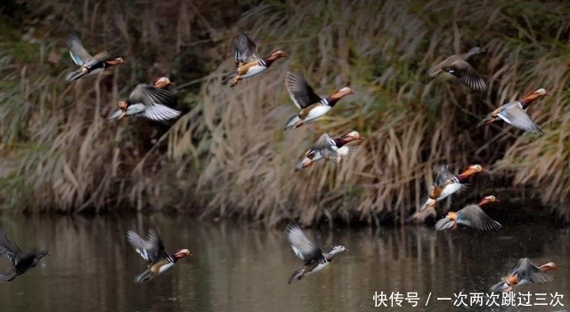 福建一个冷门的“人间仙境”，美景不输九寨沟，被称“鸳鸯之乡”