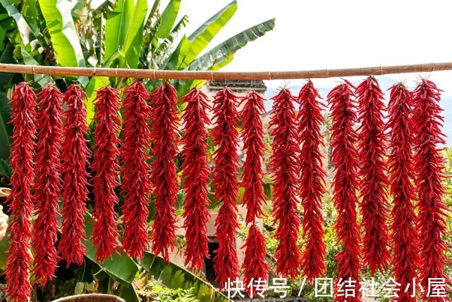 高血压人群|韭菜是高血压“发物”?医生:若想降血压,3种素食建议少吃