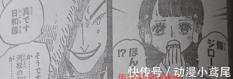 大蛇|海贼王973话：好起来了，狂死郎承认真正身份，一直在保护日和