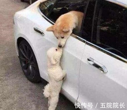 |搞笑GIF趣图:妹子,你就不要再跳了,看把孩子吓成啥样了!