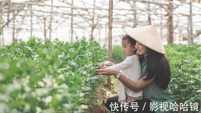 萝卜|萌娃跟着爷爷拔萝卜,接下来的一幕让人哭笑不得:这就是四脚朝天