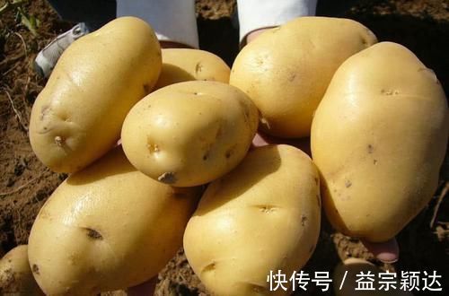 安神助眠|几物是失眠的“死对头”,睡前吃几颗,安神助眠,让你沾床就睡