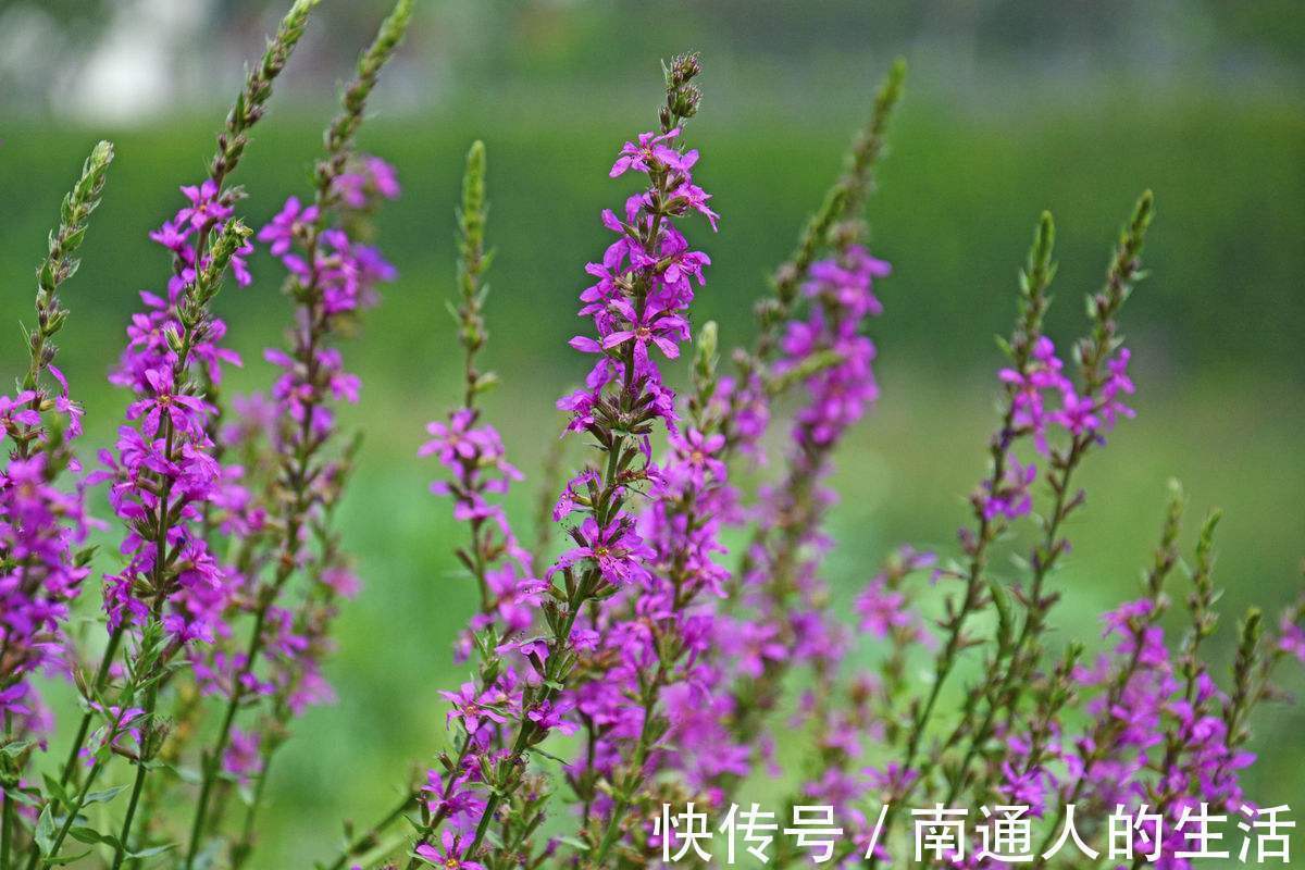 食物|女性常吃几种食物,月经正常了,子宫越来越干净,告别妇科病!