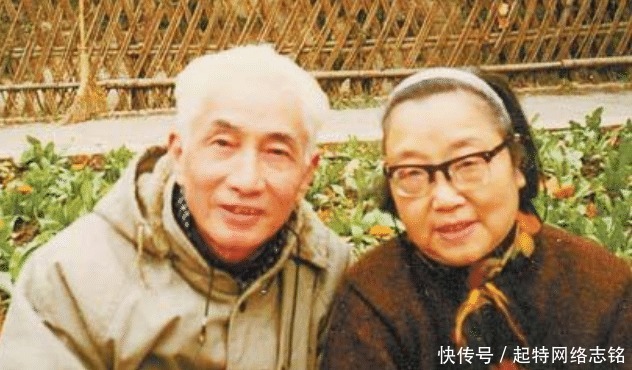  经历|饶平如和毛美棠，经历抗日战争，将跨世纪爱情变成绘本，流传世界