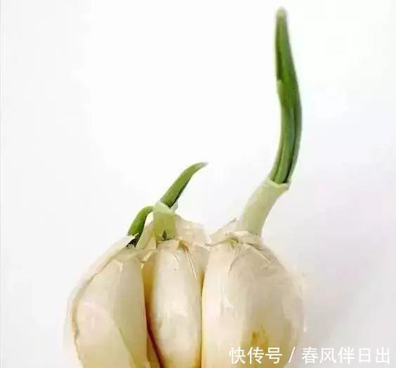 自家阳台想种菜就选9种蔬菜，简单易学