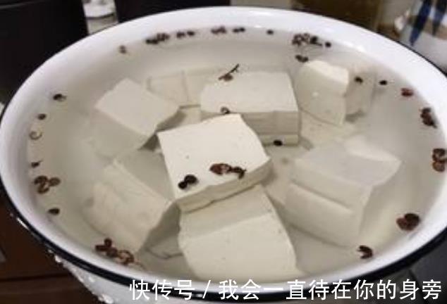 保存豆腐不要放冰箱，老师傅教我一诀窍，放十天依旧新鲜，太实用