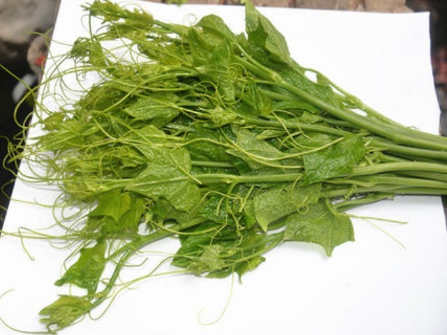 缺乏症|提醒大家此菜正当季，还不要钱，遇到多吃些，对脾胃好又排毒