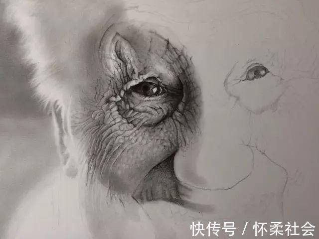 inck|超写实素描就是这样一步一步擦出来的