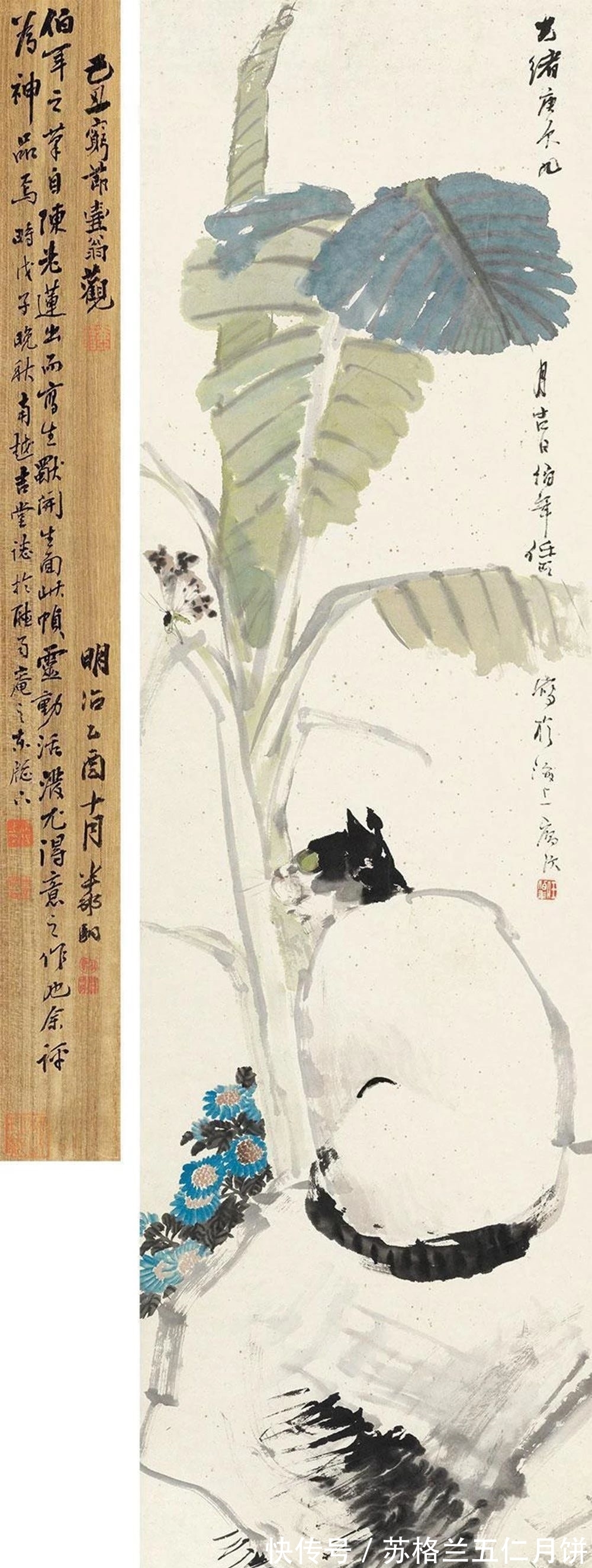 任伯年|「津门网」任伯年家的猫不一般,各个肥得流油估计伙食不错萌萌的